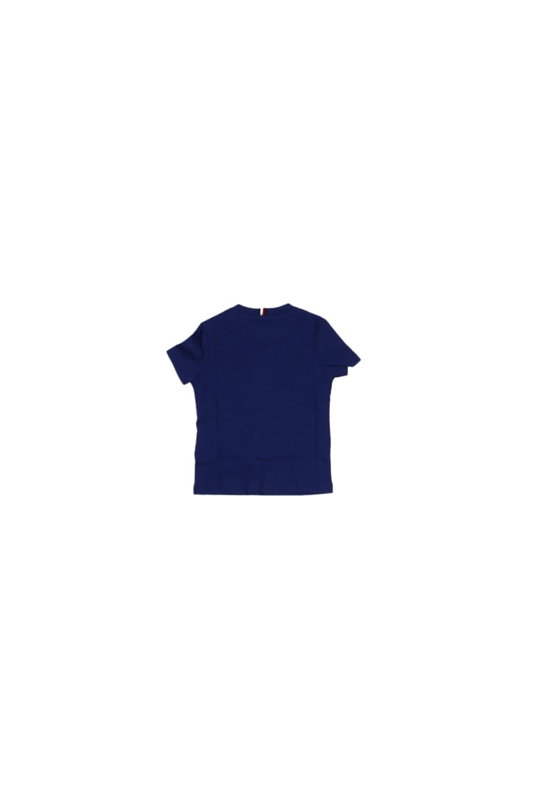 Tommy Hilfiger T-Shirts And Polos Blue Blauw
