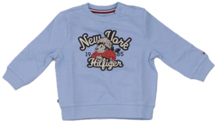 Tommy Hilfiger Sweaters Light Blue Blauw