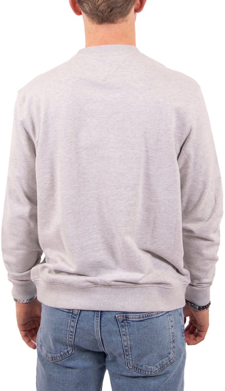 Tommy Jeans Tommy Jeans Reg Ess Dna Crew Ext Grijs