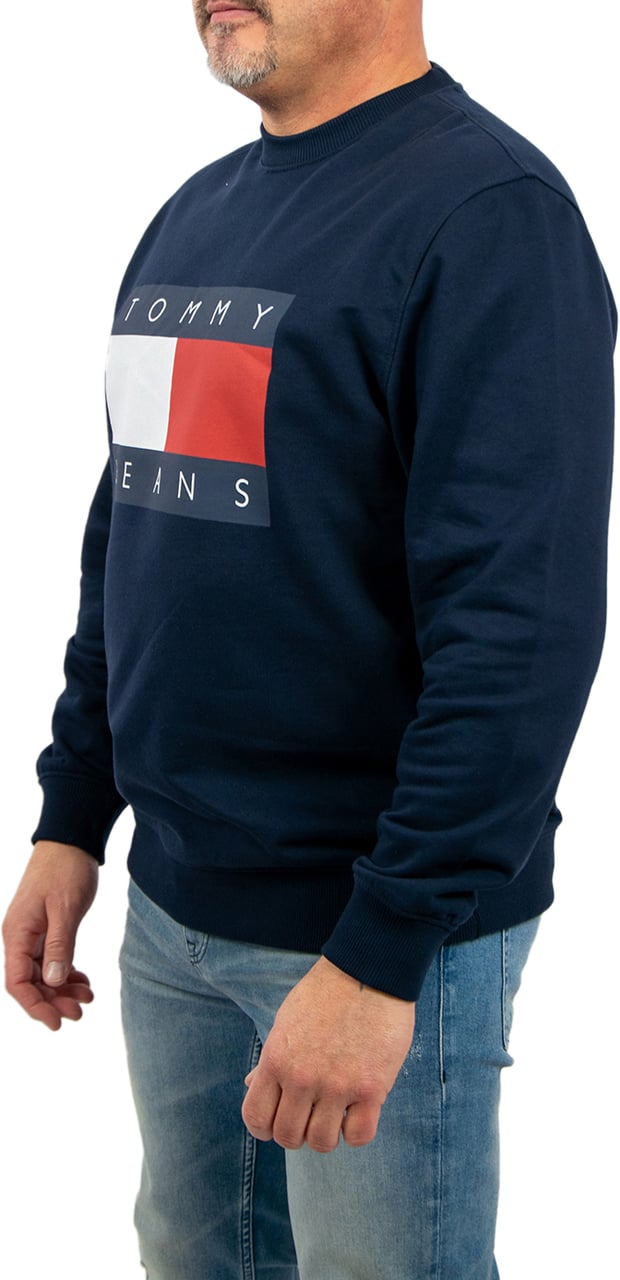 Tommy Jeans Tommy Jeans Reg Big Flag Cneck Blauw