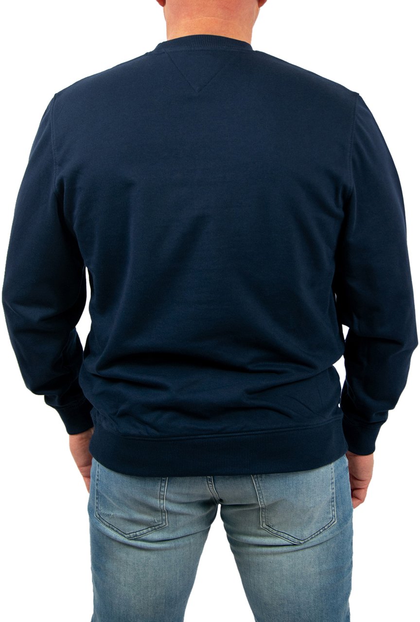 Tommy Jeans Tommy Jeans Reg Big Flag Cneck Blauw