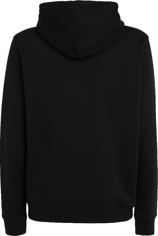 Tommy Jeans Tommy Jeans Reg Linear Gold Hood Ext Zwart