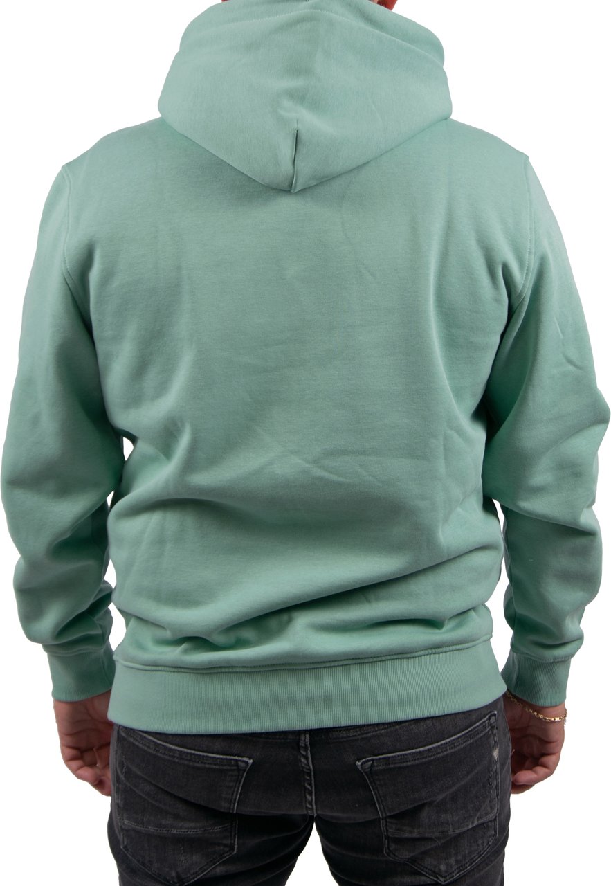 Tommy Jeans Tommy Jeans Reg Linear Logo Hoodie EXT Groen