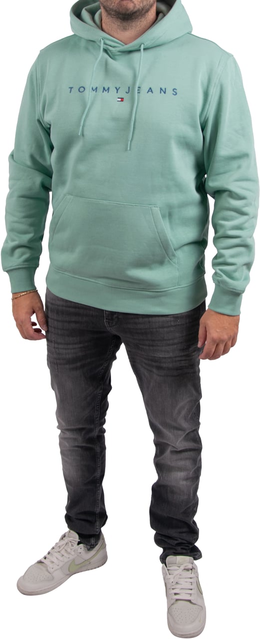 Tommy Jeans Tommy Jeans Reg Linear Logo Hoodie EXT Groen
