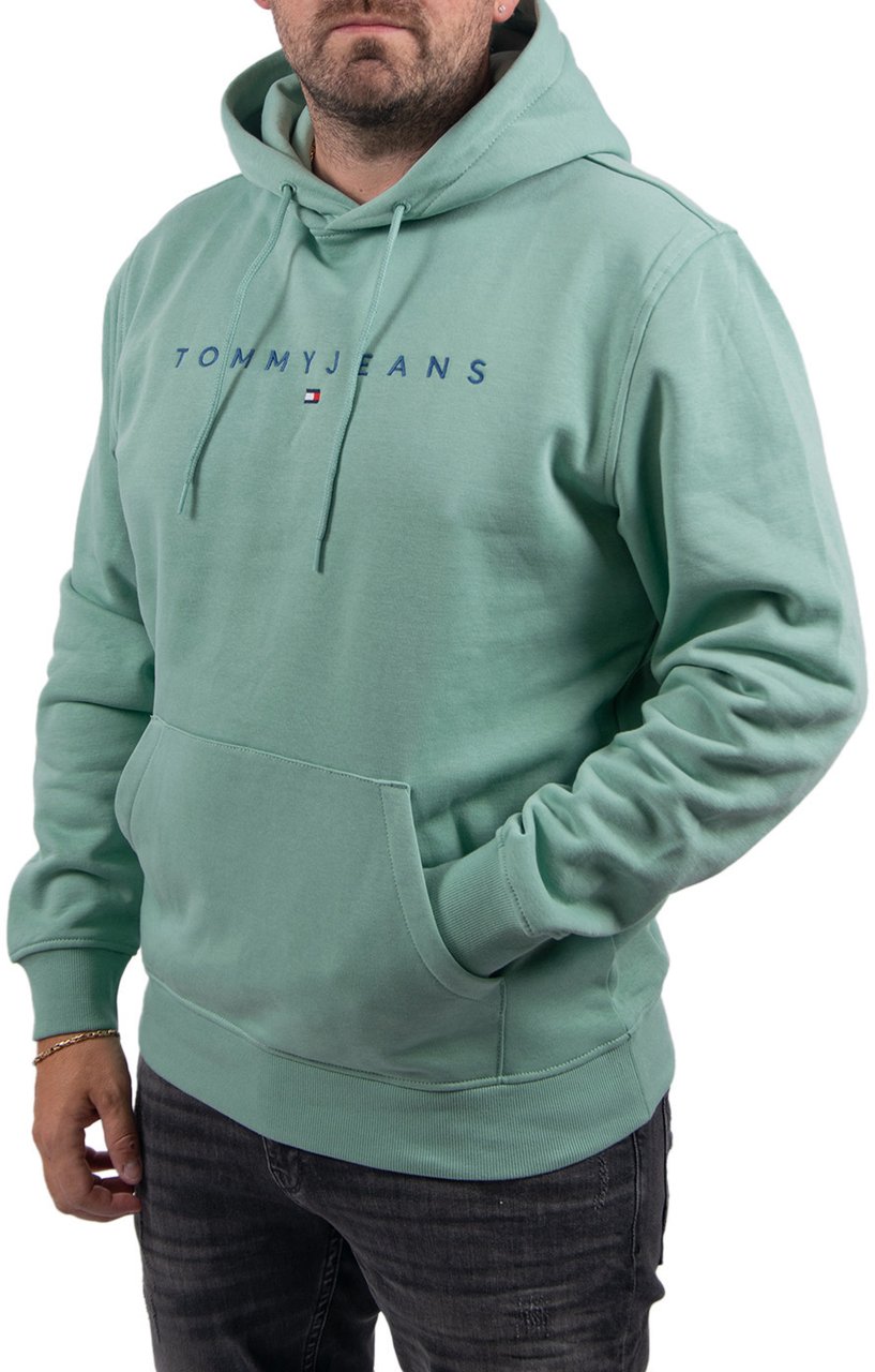Tommy Jeans Tommy Jeans Reg Linear Logo Hoodie EXT Groen