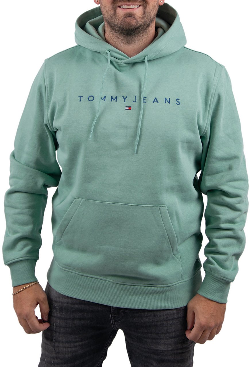Tommy Jeans Tommy Jeans Reg Linear Logo Hoodie EXT Groen
