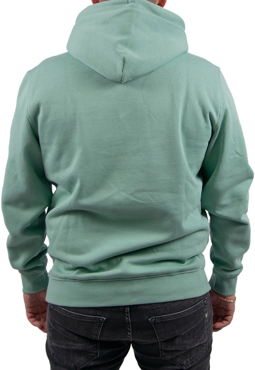 Tommy Jeans Tommy Jeans Reg Linear Logo Hoodie EXT Groen