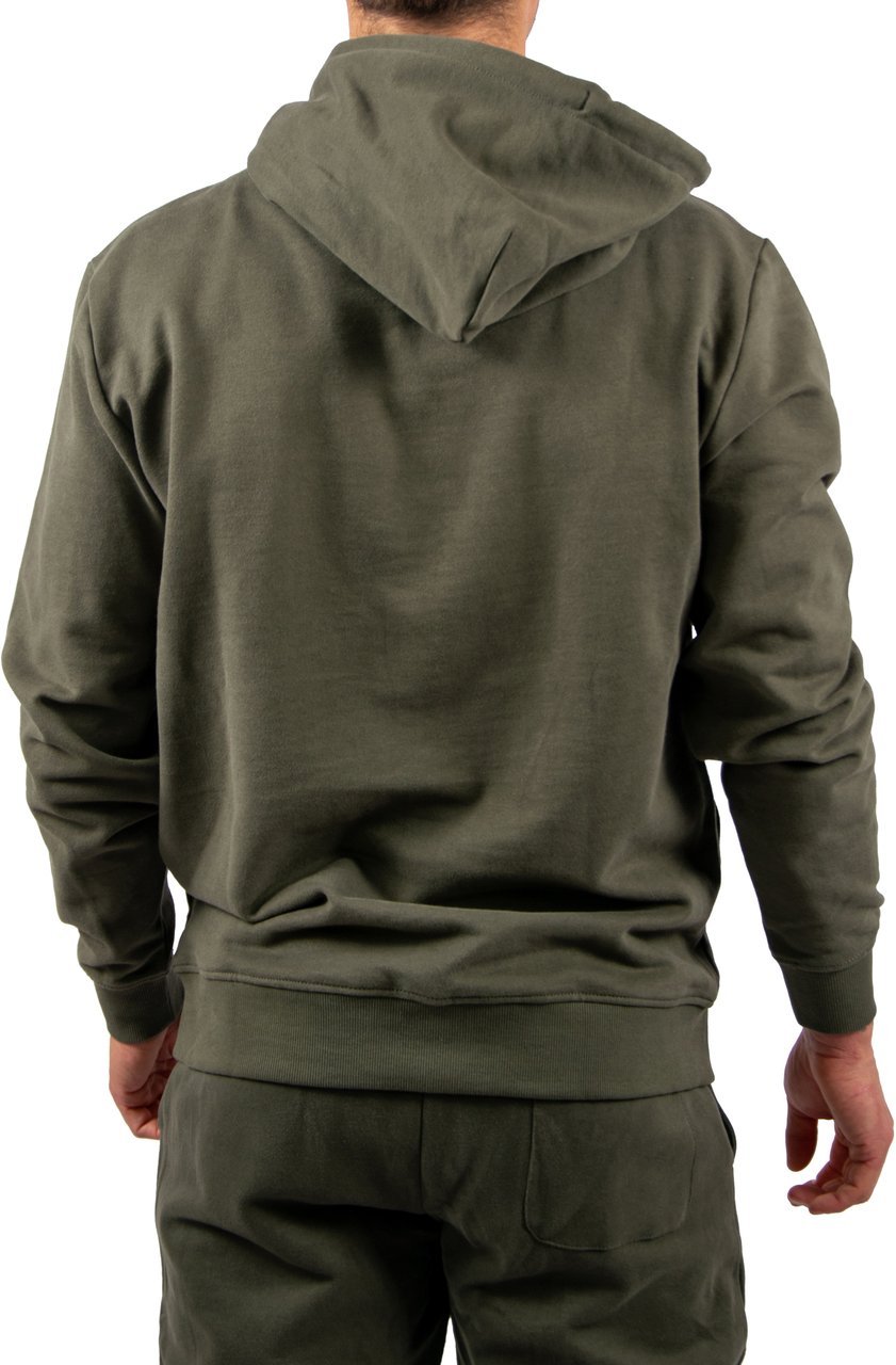 Tommy Jeans Tommy Jeans Reg Font Flag Hoodie EXT Groen