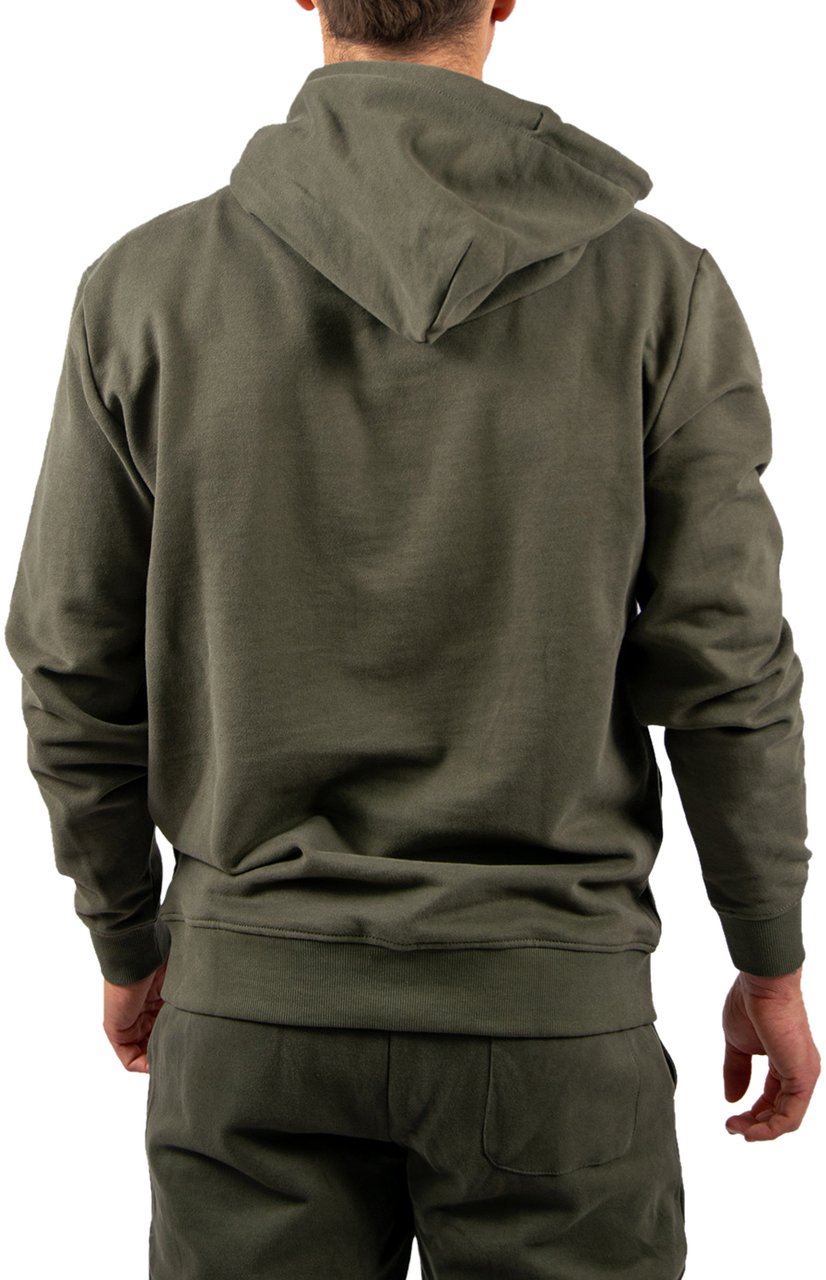 Tommy Jeans Tommy Jeans Reg Font Flag Hoodie EXT Groen