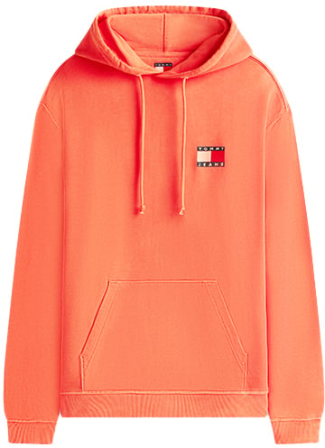 Tommy Jeans RLX Wavy Flag Hoodie Ext Groen