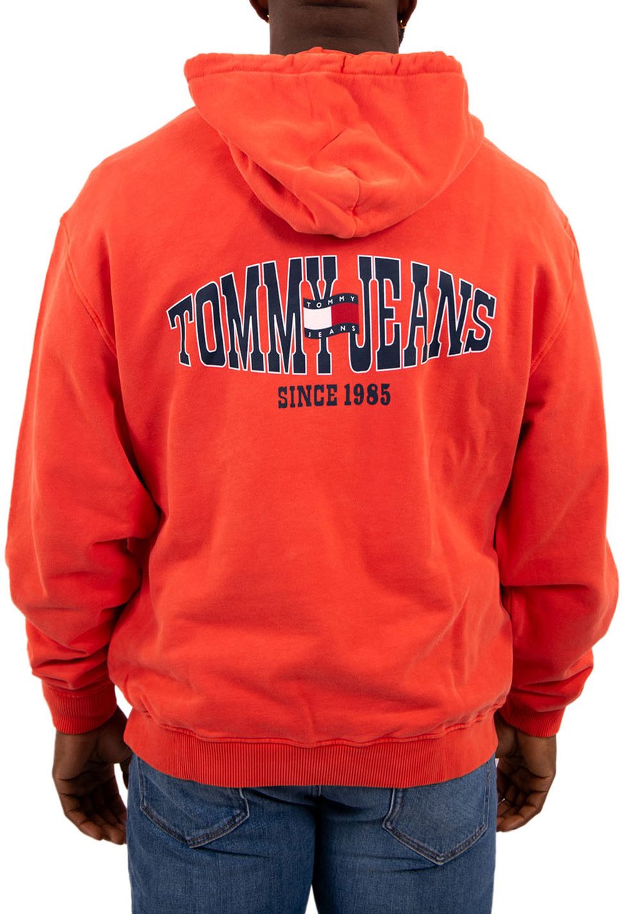 Tommy Jeans Tommy Jeans RLX Wavy Flag Hoodie Ext Groen