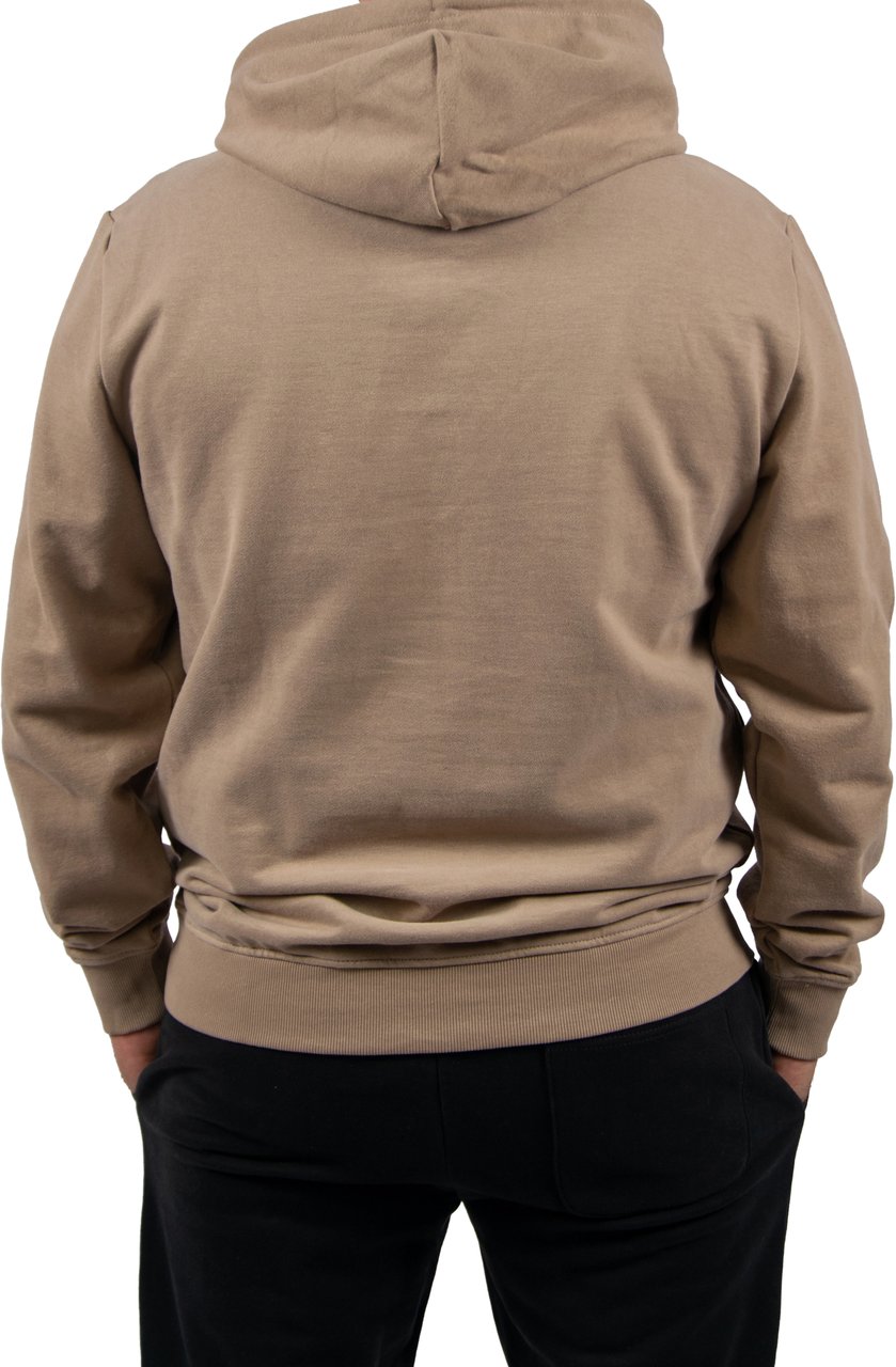 Tommy Jeans Tommy Jeans Reg RWB Flag Hoodie EXT Beige