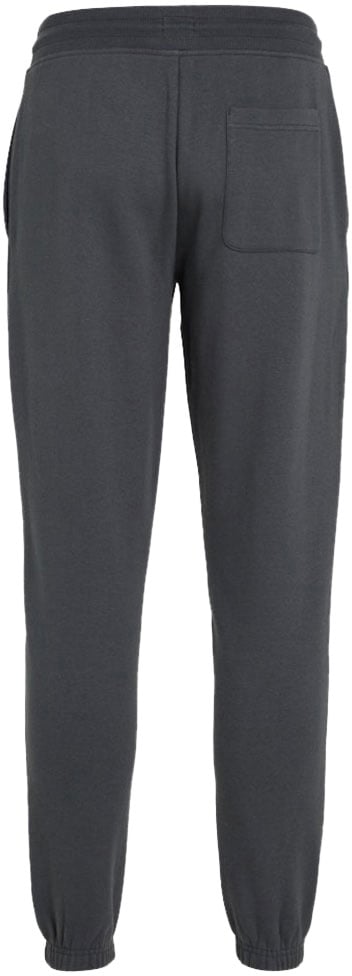 Tommy Jeans Tommy Jeans Slim S Flag Sweatpant Grijs