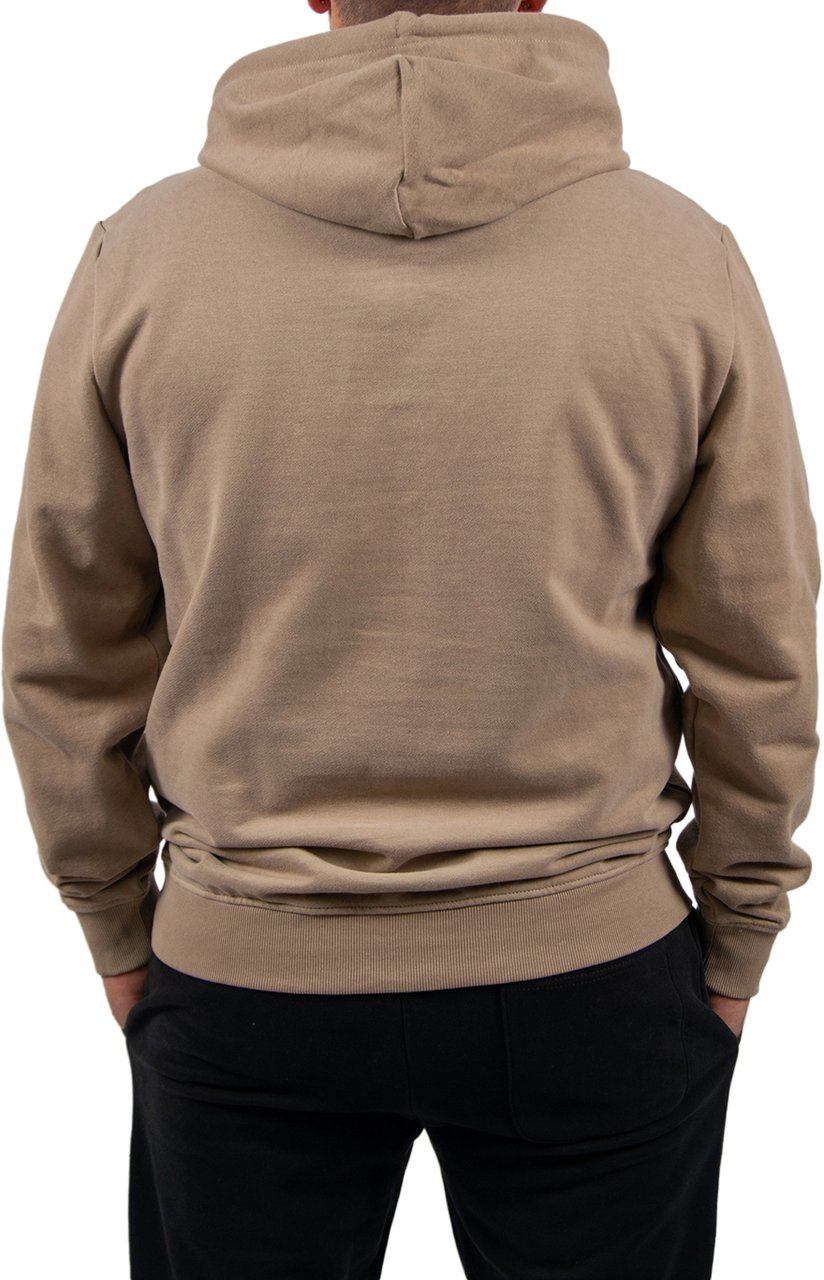 Tommy Jeans Reg RWB Flag Hoodie EXT Beige