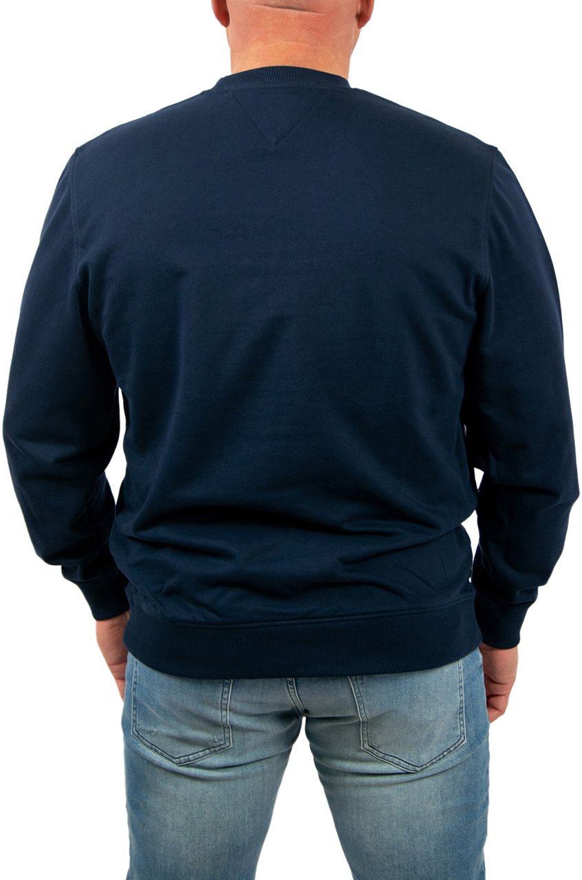 Tommy Jeans Tommy Jeans Reg Big Flag Cneck Blauw