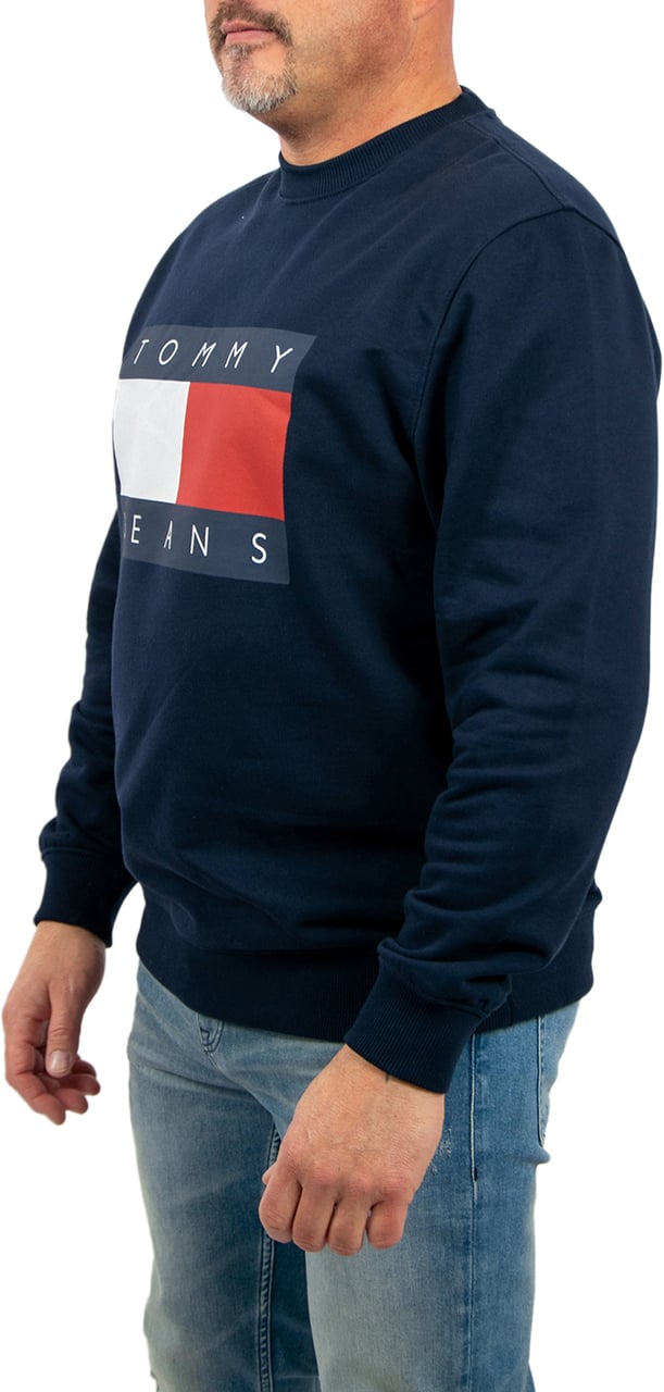 Tommy Jeans Tommy Jeans Reg Big Flag Cneck Blauw