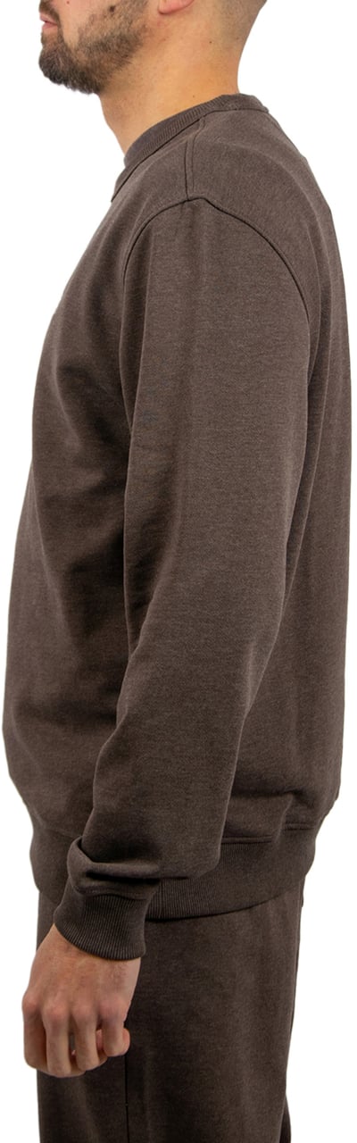 Tommy Jeans Tommy Jeans Reg Badge Crew Ext Bruin