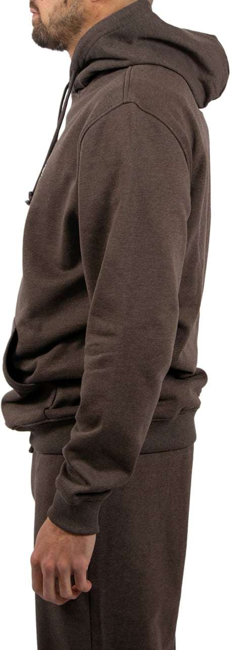 Tommy Jeans Tommy Jeans Reg Badge Hoodie Ext Bruin