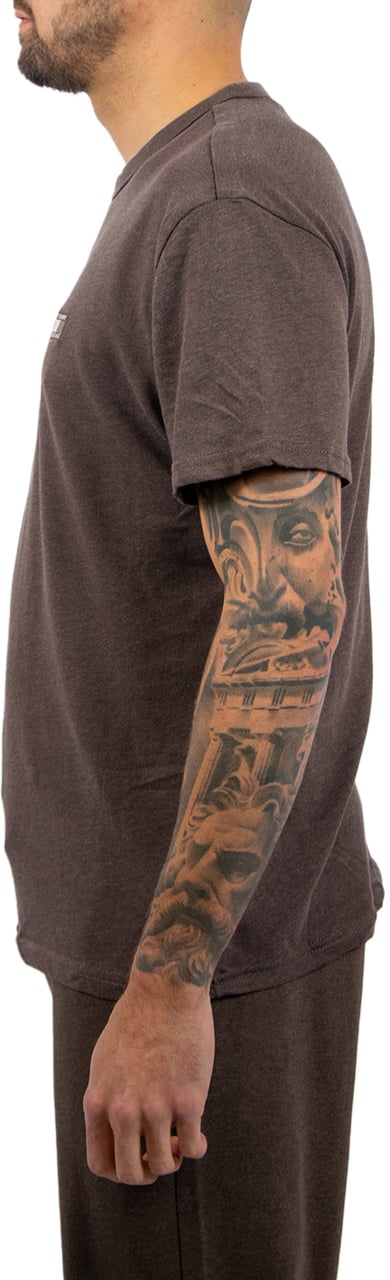 Tommy Jeans Tommy Jeans Reg Badge Tee Ext Bruin