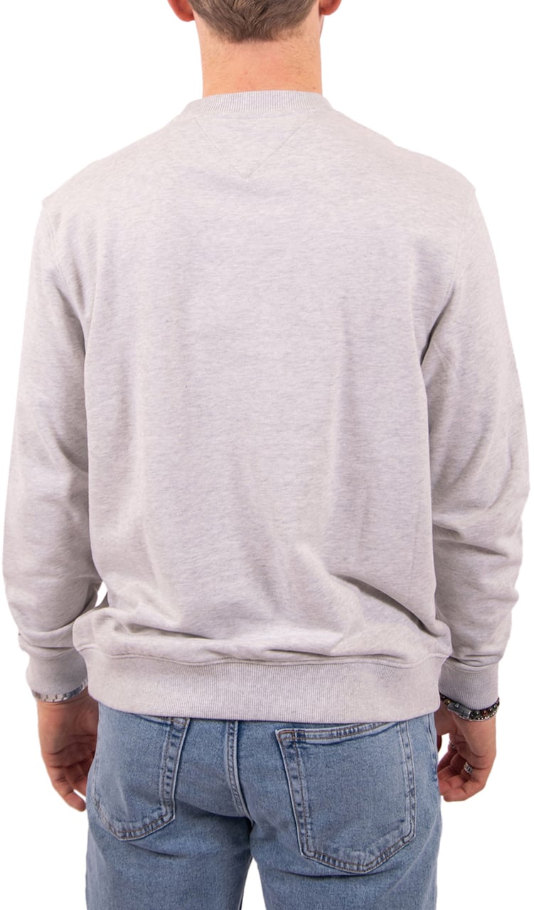 Tommy Jeans Tommy Jeans Reg Ess Dna Crew Ext Grijs