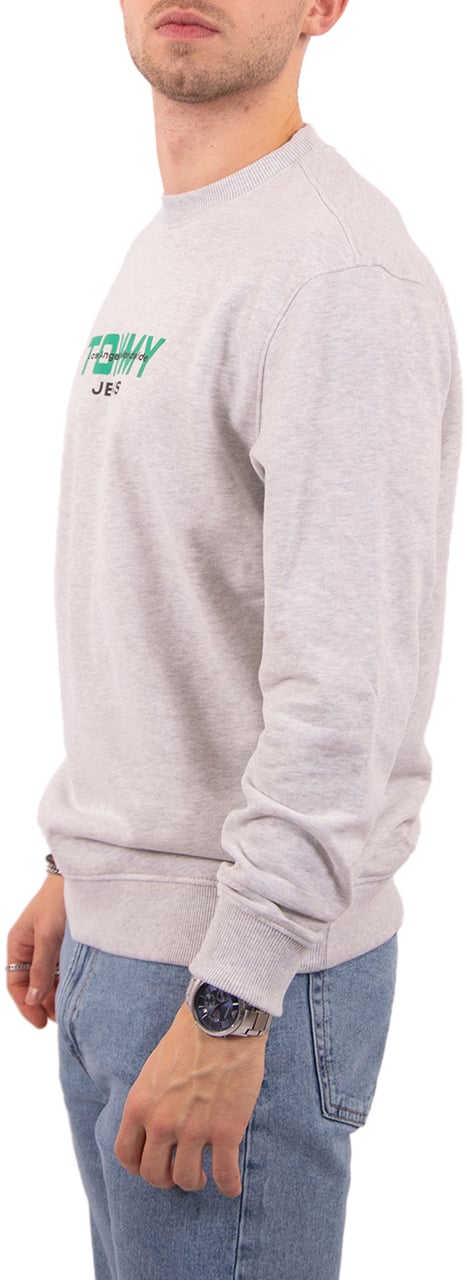 Tommy Jeans Tommy Jeans Reg Ess Dna Crew Ext Grijs