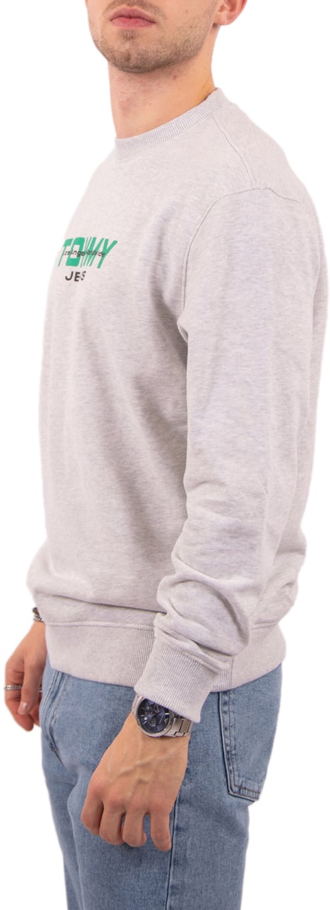 Tommy Jeans Reg Ess Dna Crew Ext Grijs
