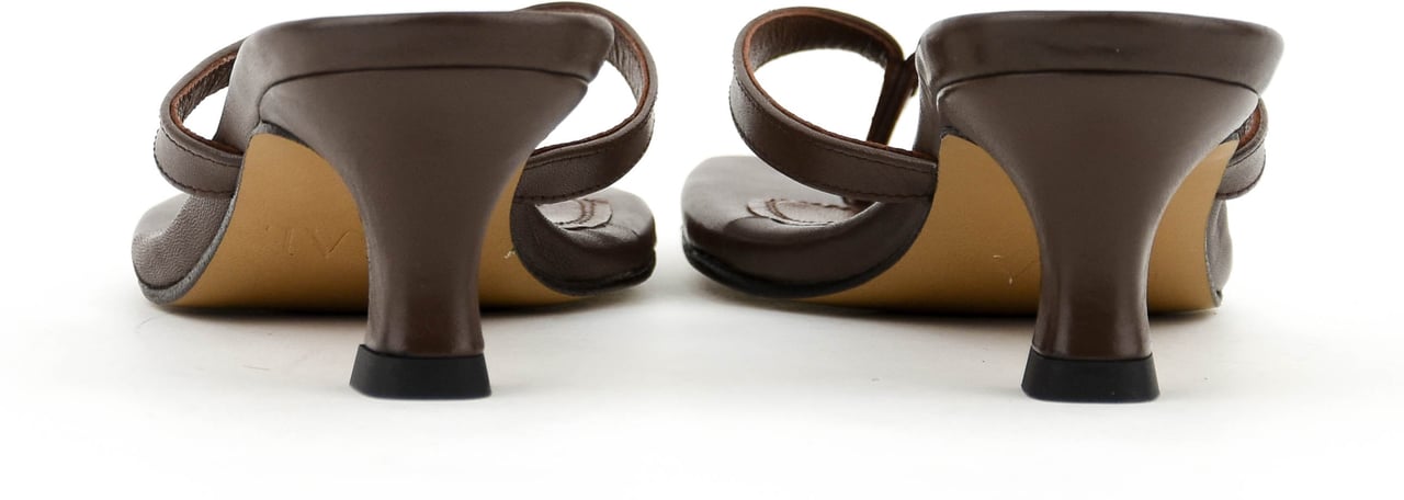 Toral Rocio Thong Sandal Brown Bruin