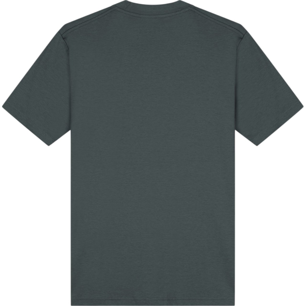 TriaD'oro Heren T-Shirt Grijs