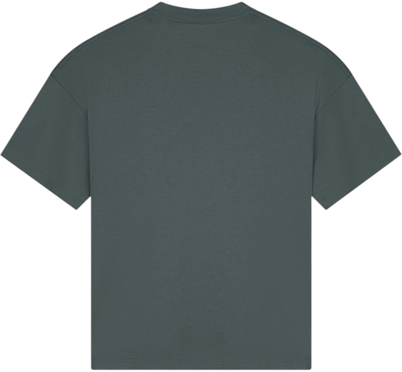 TriaD'oro Heren T-shirt Grijs