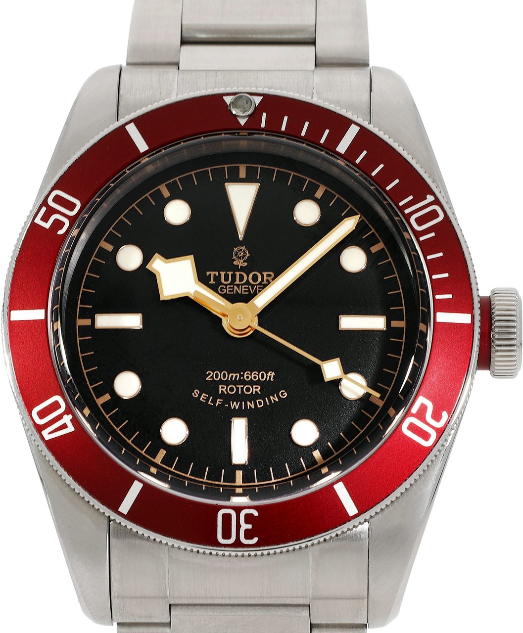 Tudor Black Bay Zwart