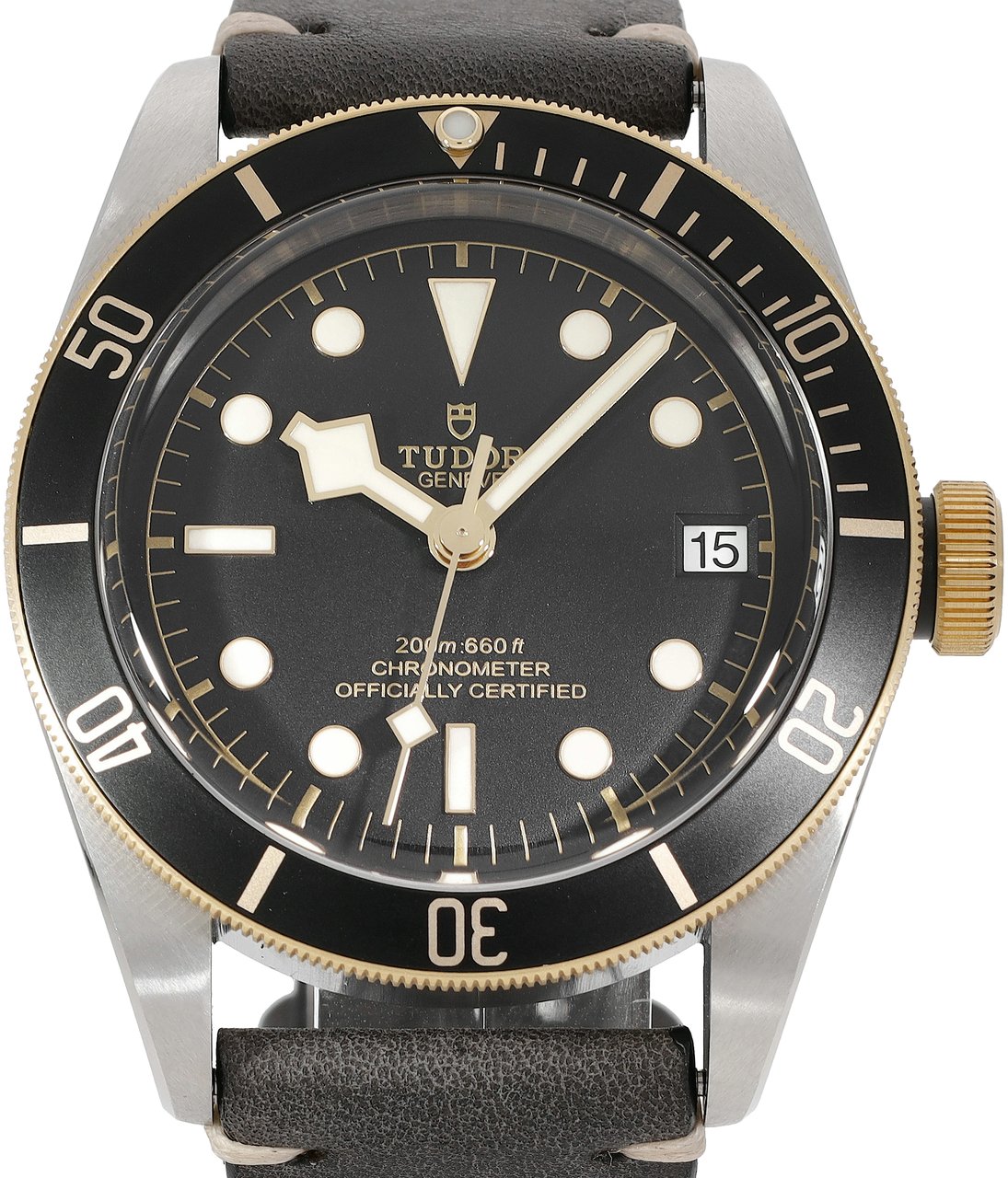 Tudor Black Bay Zwart