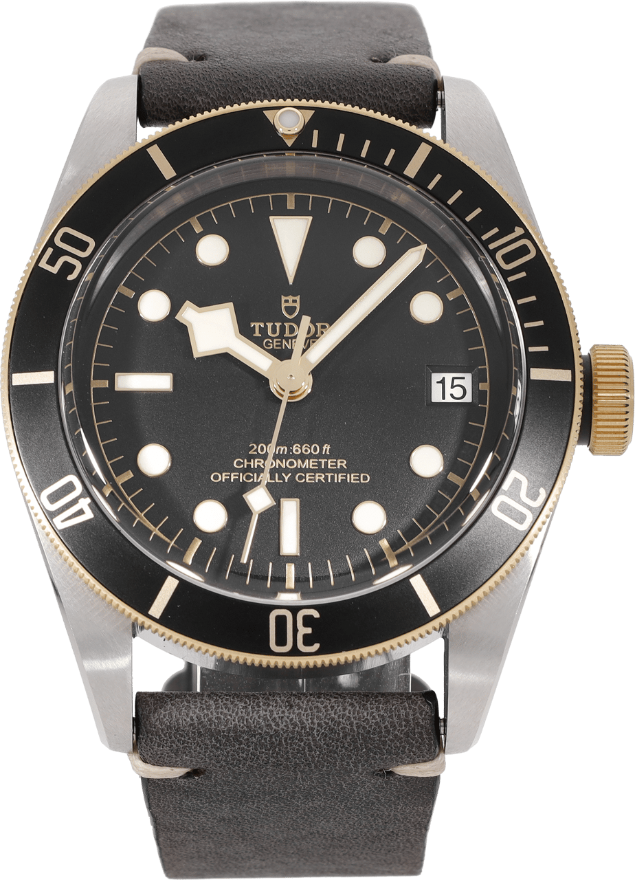 Tudor Black Bay Zwart