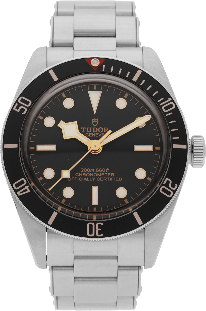 Tudor Black Bay Zwart
