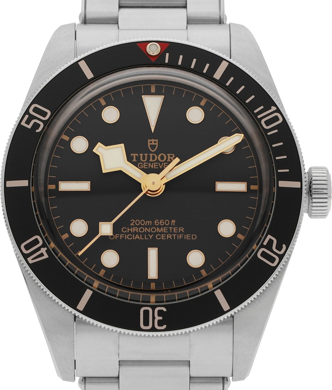 Tudor Black Bay Zwart