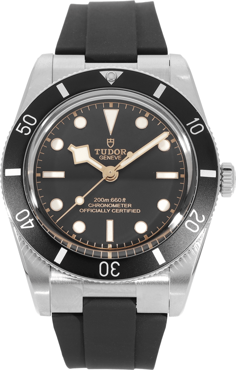 Tudor Black Bay Zwart