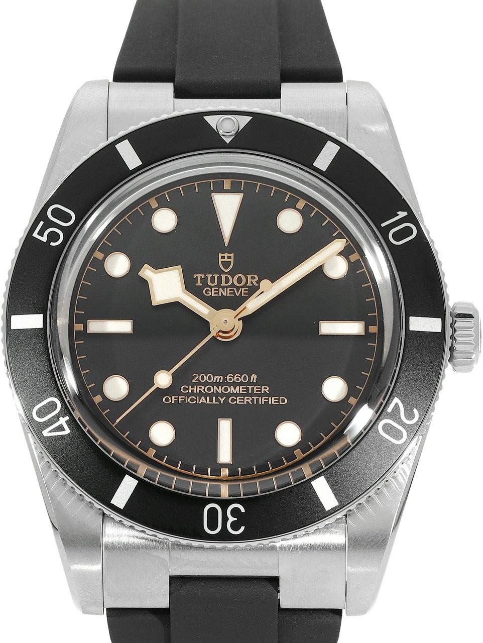 Tudor Black Bay Zwart