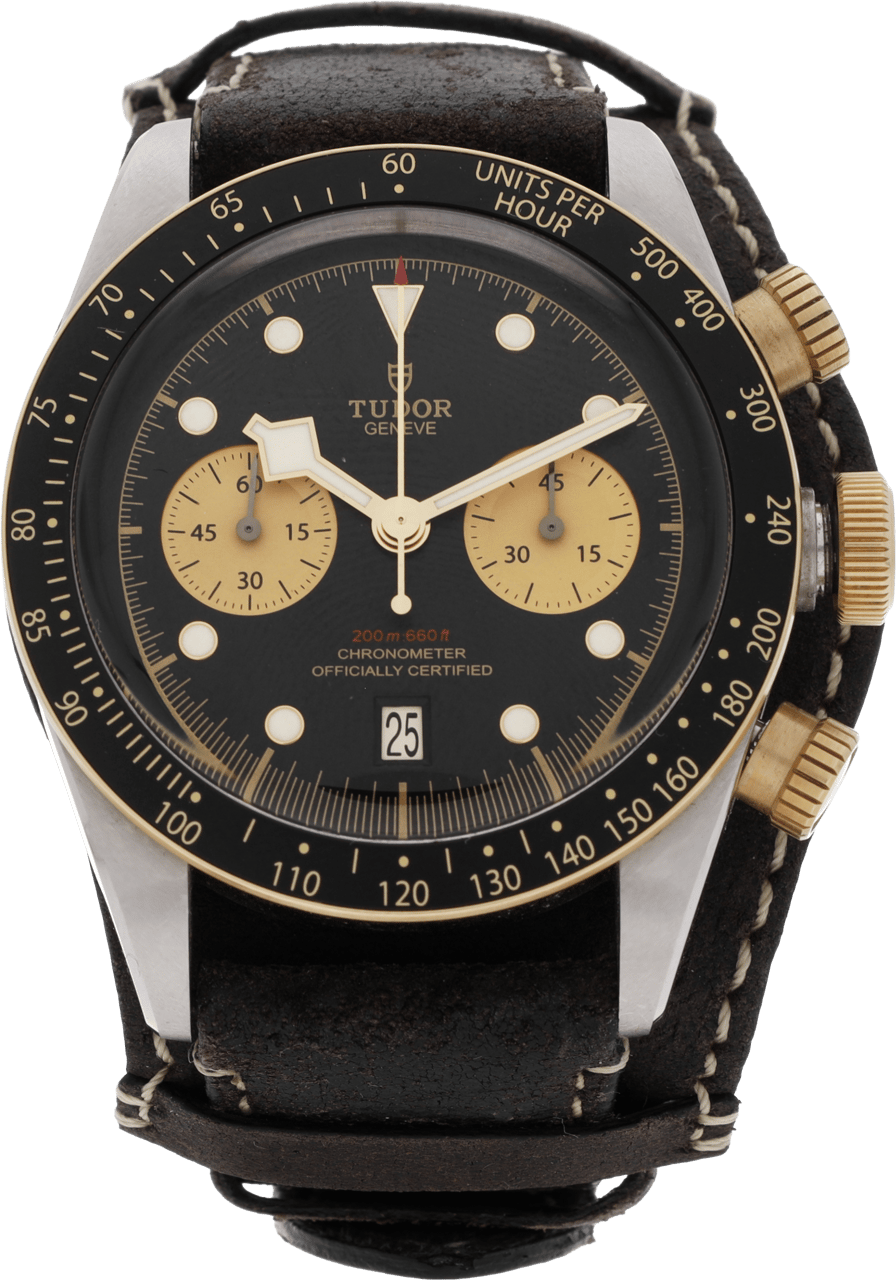 Tudor Black Bay Zwart