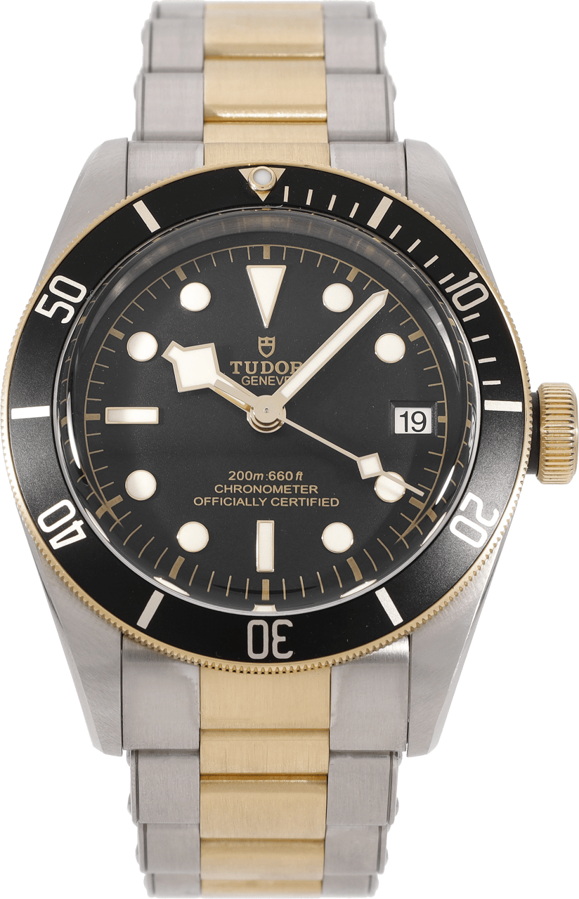 Tudor Black Bay Zwart