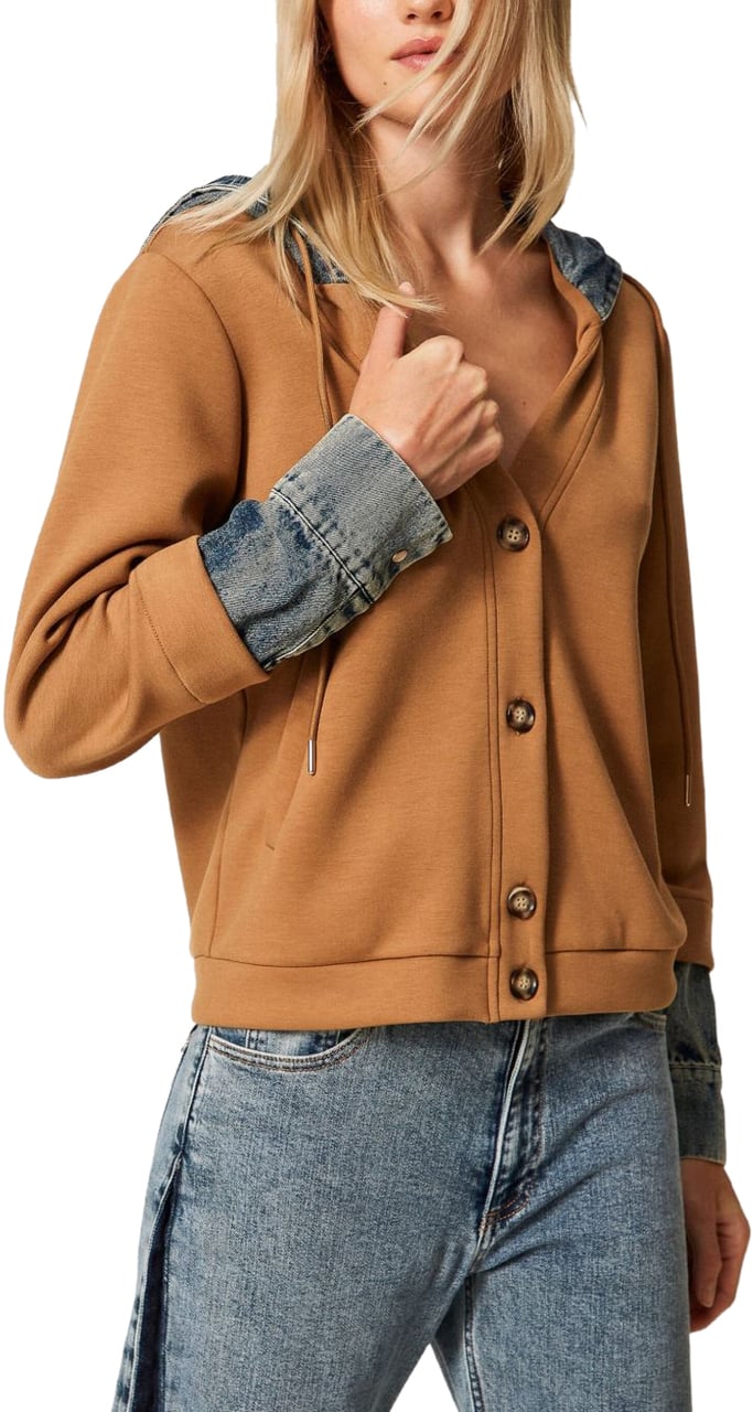 Twin-set Sweaters Brown Bruin