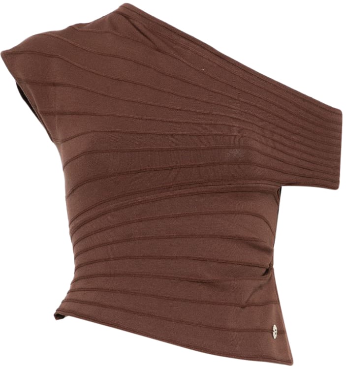 Twin-set Sweaters Chocolate Lab Bruin