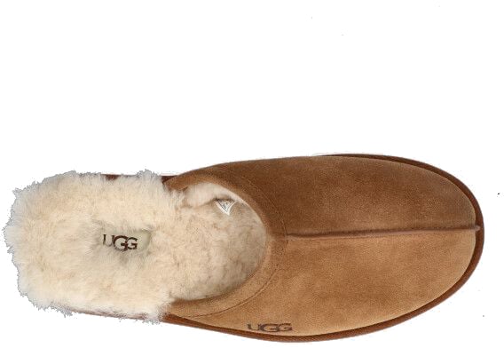 UGG UGG 1101111 CHE SCUFF Bruin