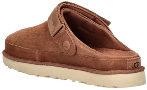 UGG UGG 1138252 CHE GOLDENSTAR Bruin