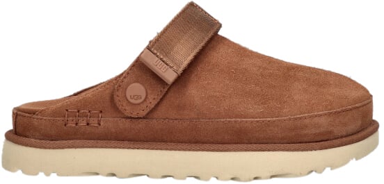 UGG UGG 1138252 CHE GOLDENSTAR Bruin