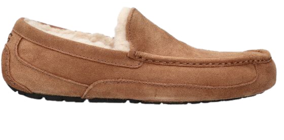 UGG UGG 1101110 CHE ASCOT Bruin