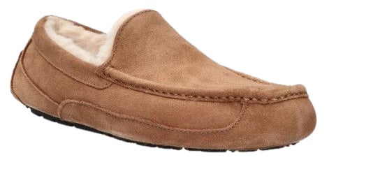 UGG UGG 1101110 CHE ASCOT Bruin