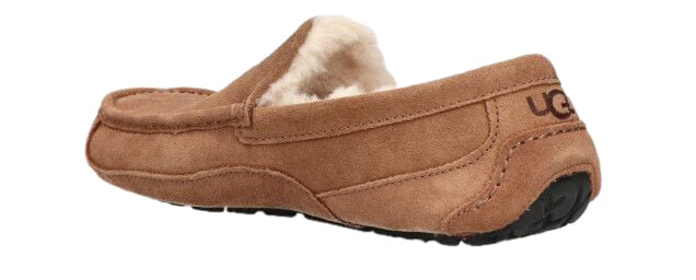 UGG UGG 1101110 CHE ASCOT Bruin