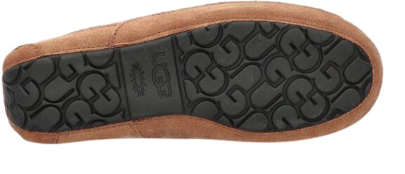 UGG UGG 1101110 CHE ASCOT Bruin