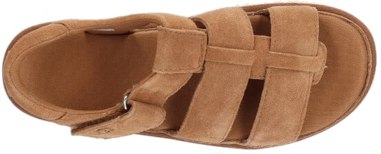 UGG UGG 1137890 CHE GOLDENSTAR Bruin