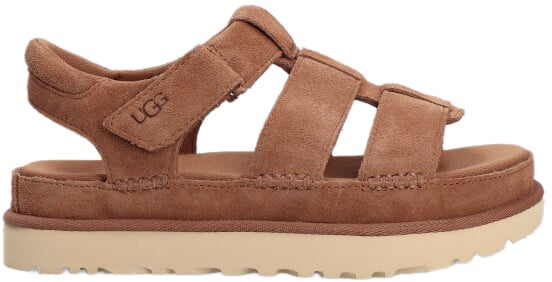 UGG UGG 1137890 CHE GOLDENSTAR Bruin