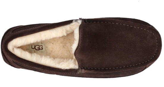 UGG UGG 1101110 ESP ASCOT Bruin